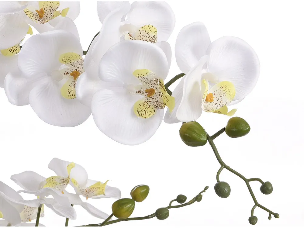 Planta, flor artificial orquídea .65 x L.54 cm branco - TARA OZAIA