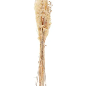 Dried Flower Bouquet 65 cm Autêntico BRUNETE