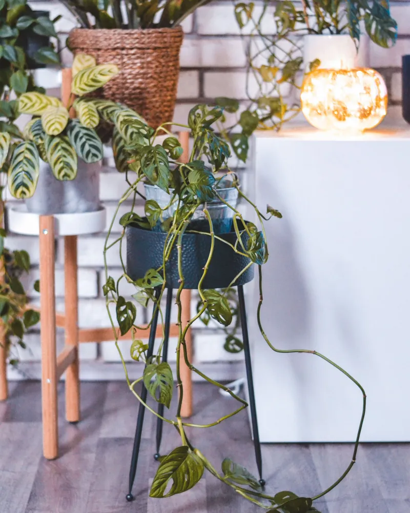 Plant Stand LEIKA Metal Preto