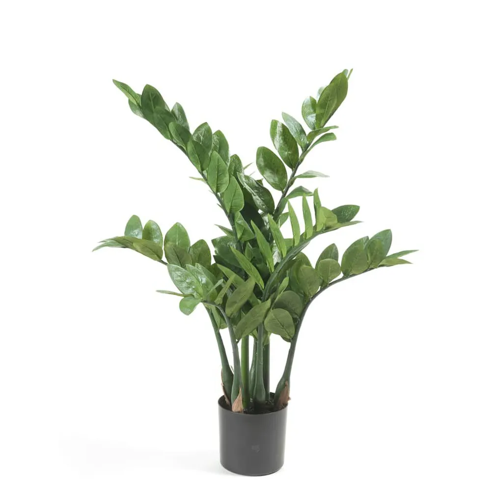 Tulipas de Seda Emerald Zamioculcas artificial 70 cm