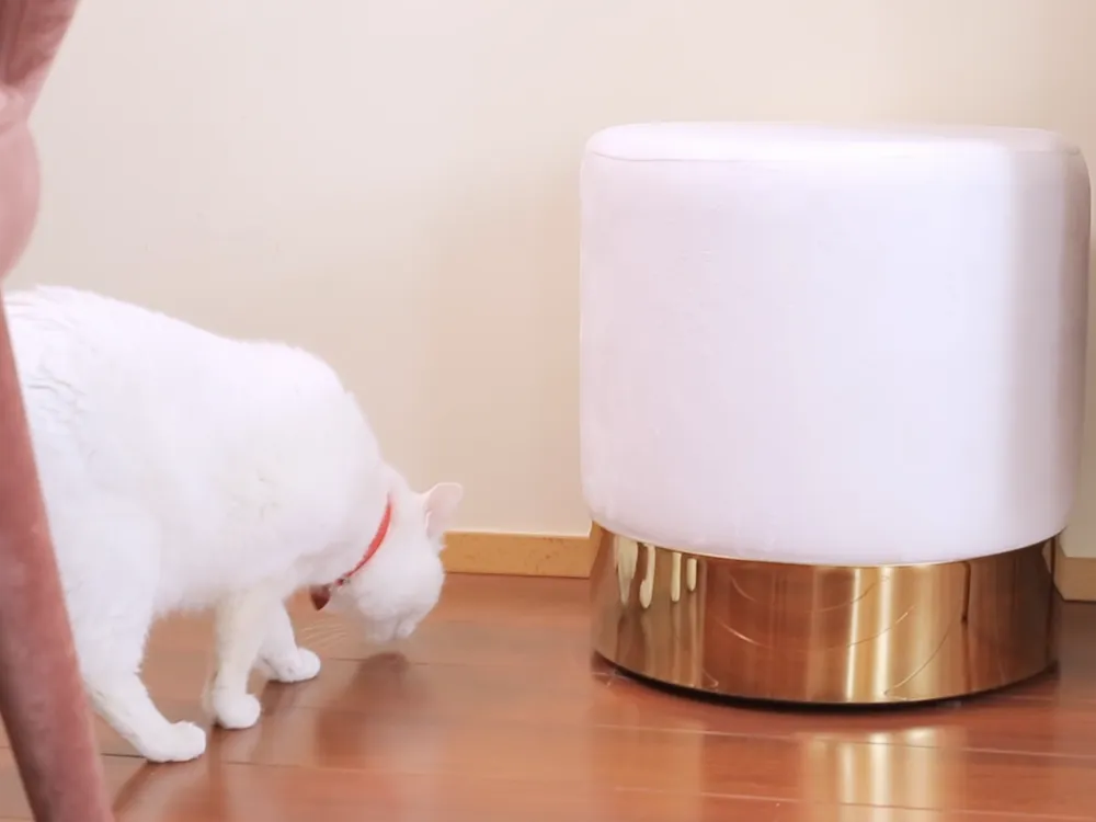 Velvet Pouffe White SOPHIA