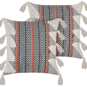 Set 2 Cotton Cushions Chevron Pattern 45 x 45 cm Multicolour BOUVARDIA