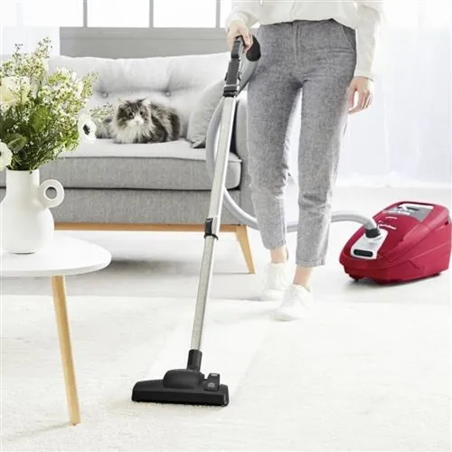 Aspirador com Saco Rowenta Silence Force Home RO7793EA com Filtro HEPA