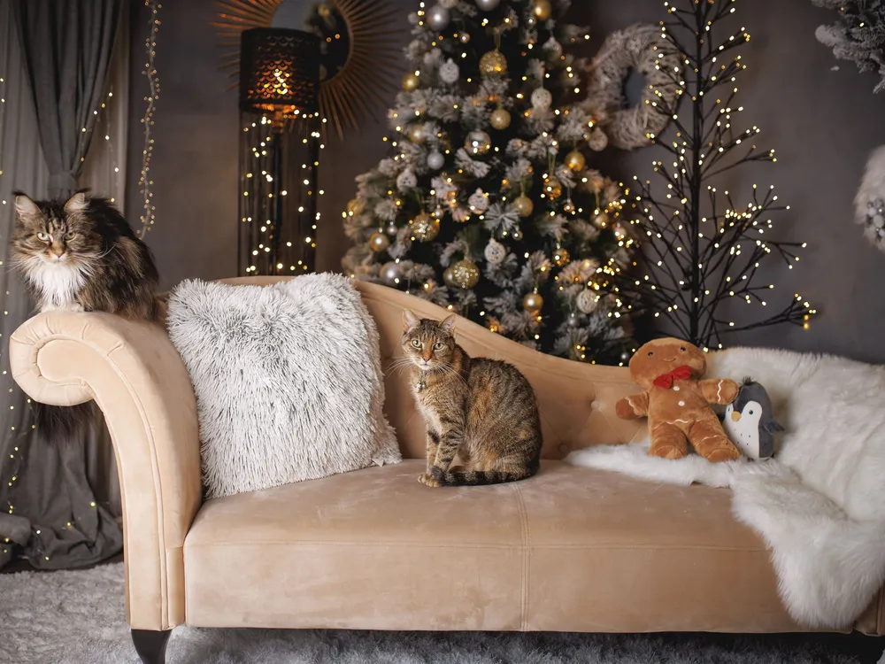 Poltrona Reclinável Right Hand Chaise Lounge Veludo macio Beige LATTES